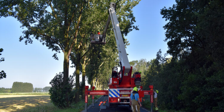 Storm veroorzaakt flinke schade in Brakel, Nieuwaal en Zuilichem