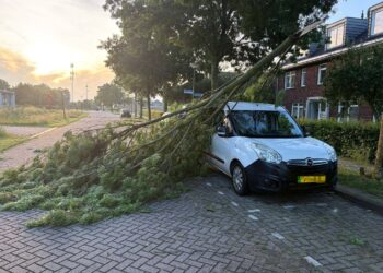 Brandweer Dussen urenlang in touw na storm: “Bomen zagen, bomen zagen en bomen zagen”