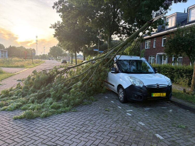 Brandweer Dussen urenlang in touw na storm: “Bomen zagen, bomen zagen en bomen zagen”