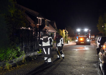 Opnieuw coniferenhaag in brand in Brakel, zorgen over mogelijke brandstichter nemen toe