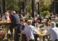 Wat is er dit weekend te doen in Altena en de Bommelerwaard?