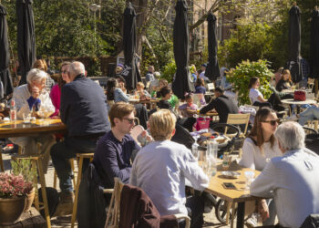 Wat is er dit weekend te doen in Altena en de Bommelerwaard?