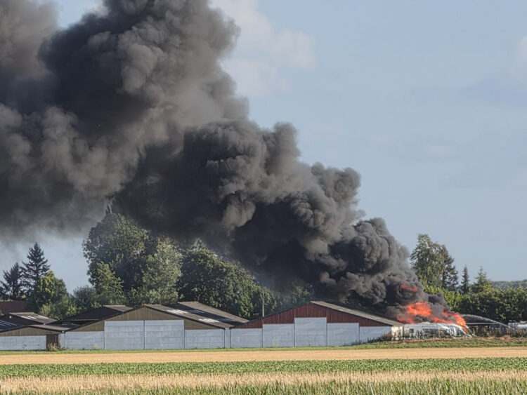 Acht campers verloren bij brand in camperstalling Almkerk