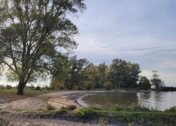 Blauwalg geconstateerd bij Badstrand Veen, gemeente waarschuwt zwemmers