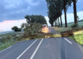 ZVV stelt vragen over bomenbeheer na stormschade Van Heemstraweg